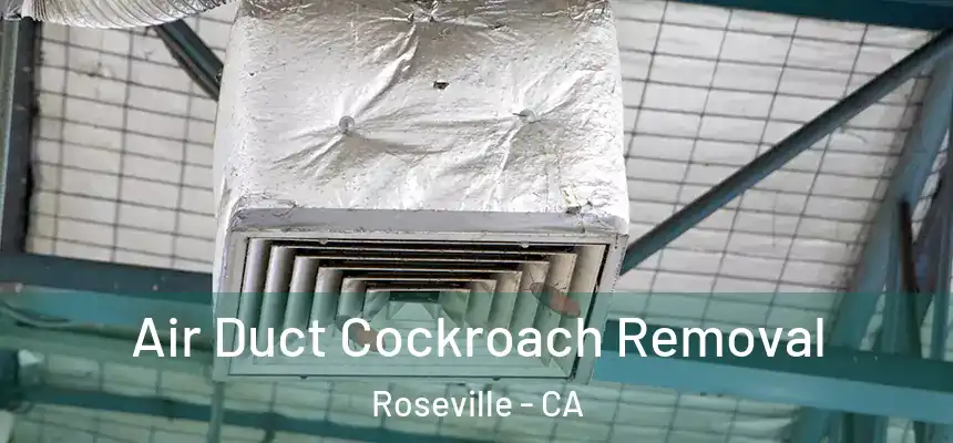  Air Duct Cockroach Removal Roseville - CA
