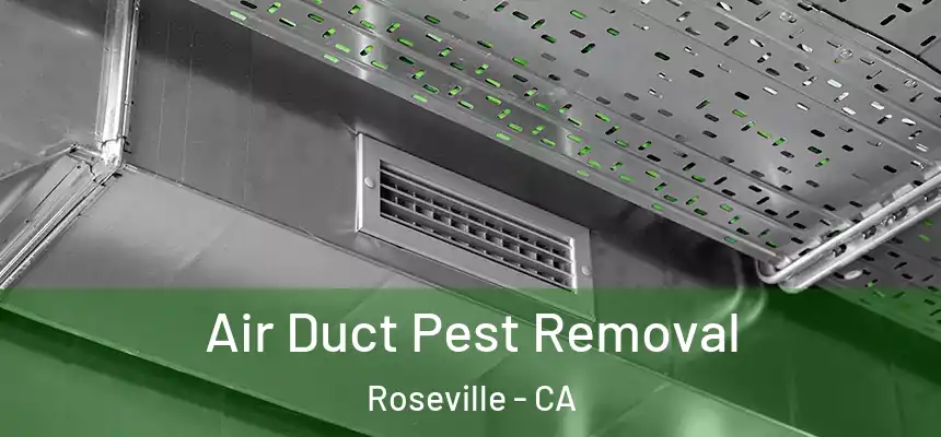  Air Duct Pest Removal Roseville - CA