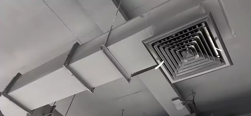 Our Pest Removal From Ducts Services in Roseville, CA