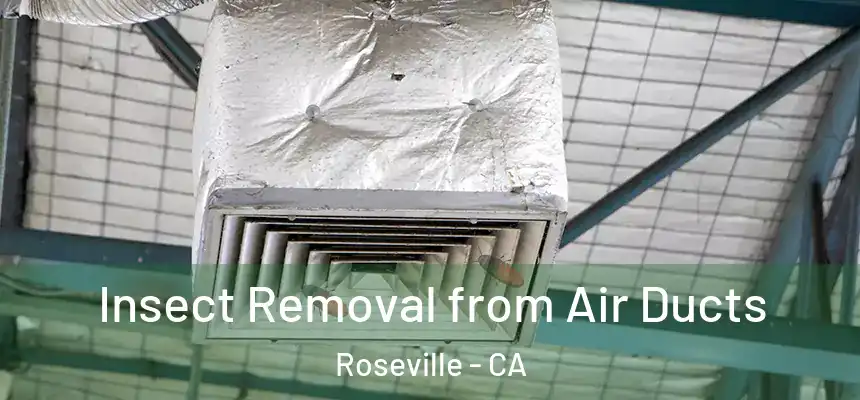  Insect Removal from Air Ducts Roseville - CA