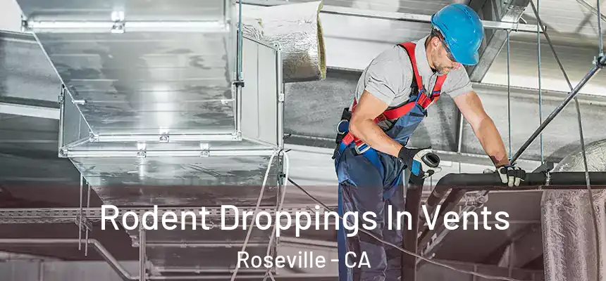  Rodent Droppings In Vents Roseville - CA