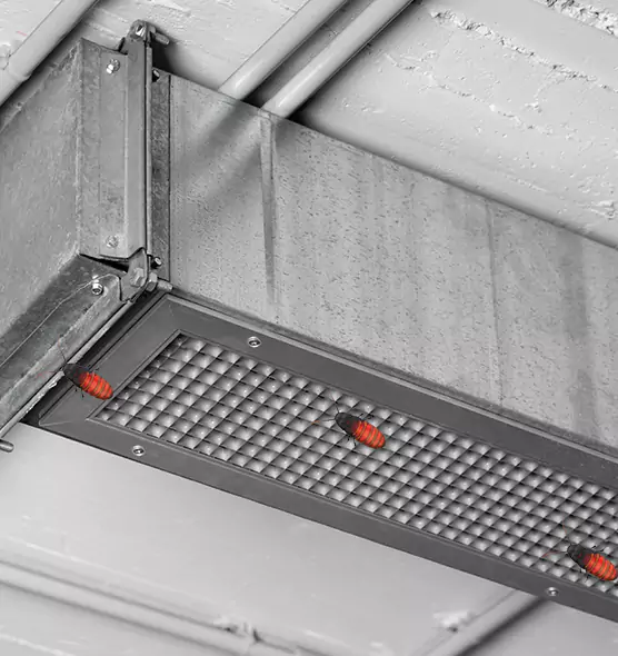About Air Duct Cockroach Removal in Roseville, CA