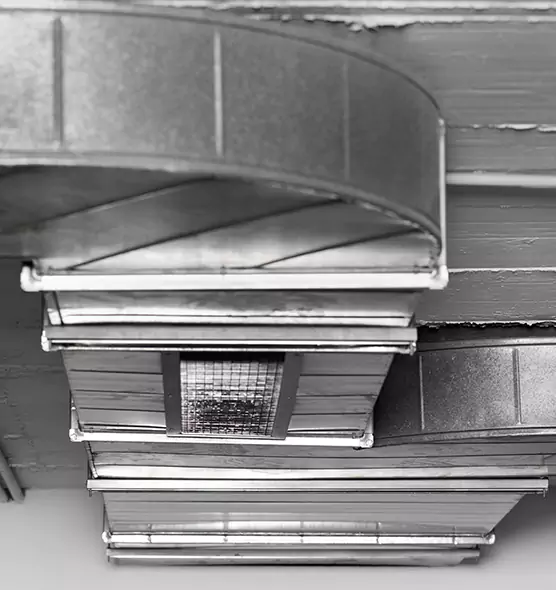 Professional Air Duct Pet Hair Removal in Roseville, CA