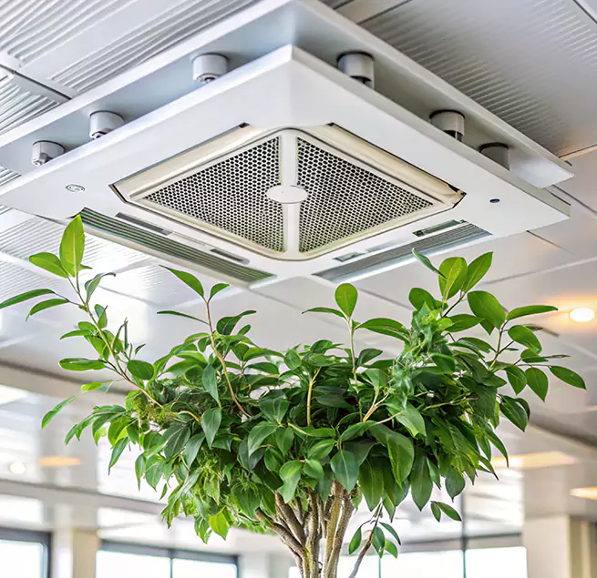 Why Homeowners & Businesses Trust Us in Roseville, CA?