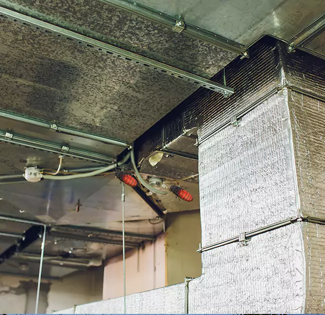 Why Homeowners & Businesses Trust Us Roseville, CA?